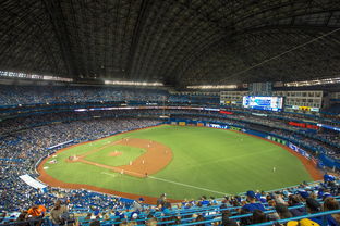 米兰体育app官网-世界击剑锦标赛中国女花首次进四强，击剑世界冠军女